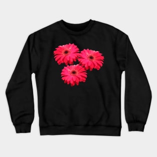 gerbera flower, daisies, gerberas, daisy, bloom Crewneck Sweatshirt